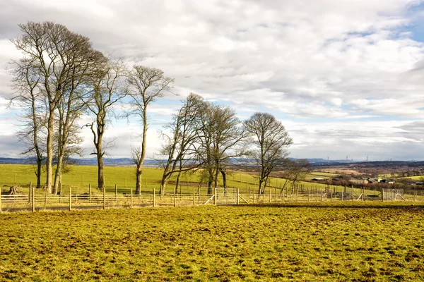 Zemědělská půda v západní Lothian, Skotsko — Stock fotografie