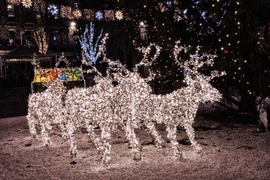 Noel süslemeleri ve Noel Ren geyiği ve kızak ışıkları bir