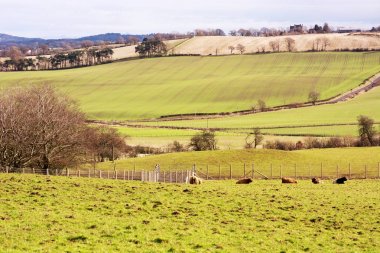West Lothian, İskoçya, Bahar tarım arazisi