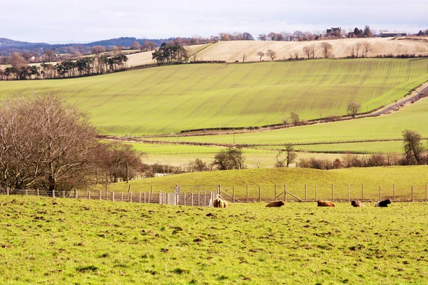 Zemědělská půda v západní Lothian, Skotsko, na jaře — Stock fotografie