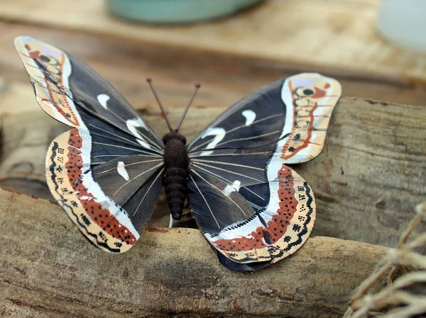 Belas flores de borboleta coloridas para decoração — Fotografia de Stock