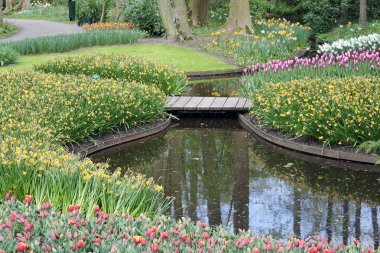 Keukenhof Spring Park'ta
