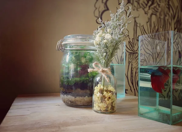 Terárium s sušených květin a malé akvárium na stole Royalty Free Stock Obrázky
