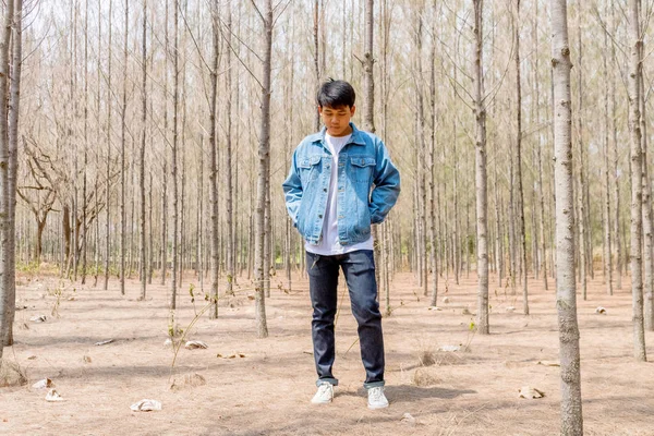 Tayland 'da kuru bir ormanda tek başına duran beyaz günlük ve kot ceketli Asyalı bir çocuk..