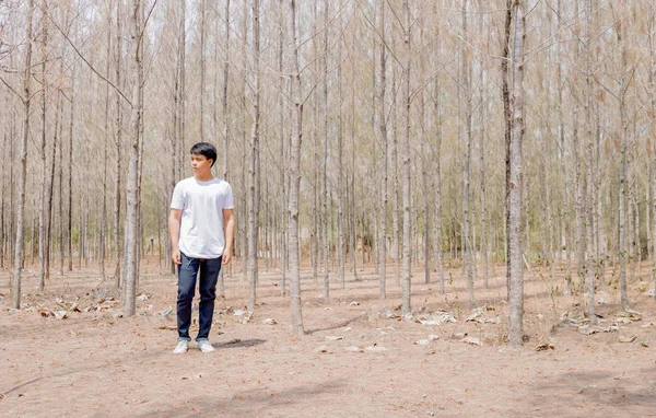 Tayland 'da kuru ormanda beyaz günlük pantolon giymiş Asyalı bir çocuk yürüyor..