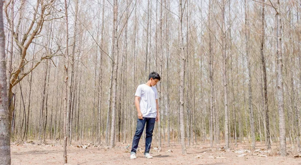 Tayland 'ın kuru ormanlarında beyaz pantalonlu Asyalı bir çocuk tek başına dikiliyor..