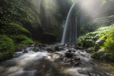 Görünüm Tiu Kelep Lombok Adası, Endonezya'da bulunan şelale