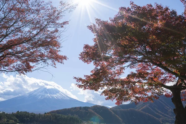 Vista Del Monte Fuji Desde Lago Kawaguchi Japón Durante Temporada — Foto de Stock