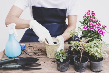 Evde küçük bir bahçe yaratmak.