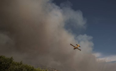Hırvatistan sahilinde orman yangını
