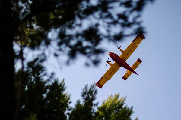 Incêndio Florestal Costa Croácia — Fotografia de Stock