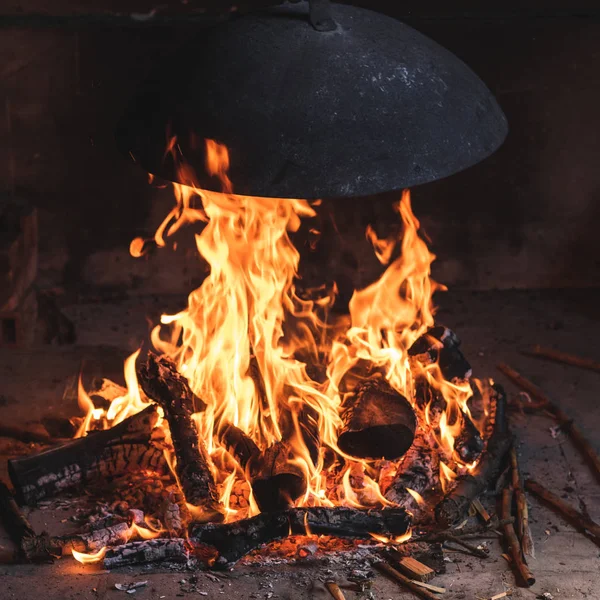 Далматинец Пека Медленное Чудо — стоковое фото