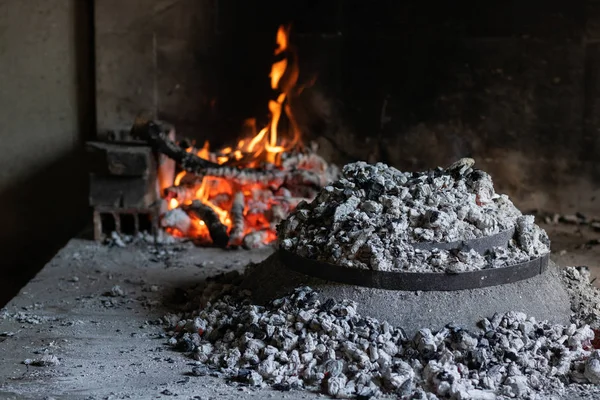 Далматинец Пека Медленное Чудо — стоковое фото