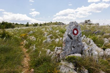 Dağdan inanılmaz bir manzara.