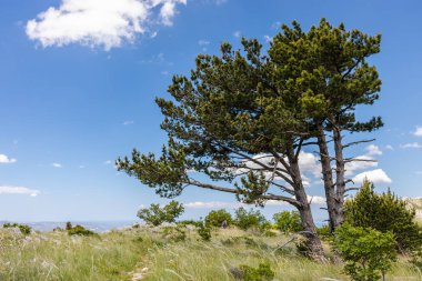 Dağdan inanılmaz bir manzara.