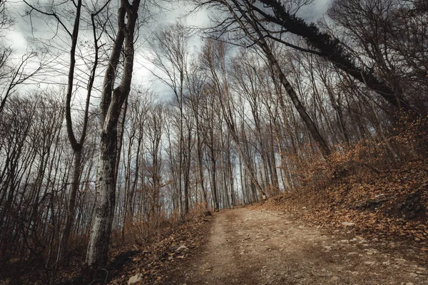 Hiver Sur Montagne Medvednica Zagreb Croatie — Photo