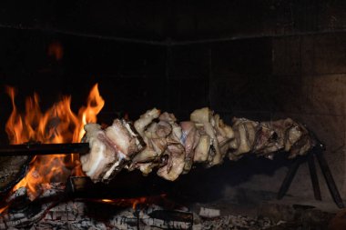 Kuzu tükürüğünde