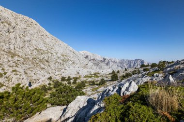 İlkbaharda güzel manzara, Dalmaçya, Hırvatistan