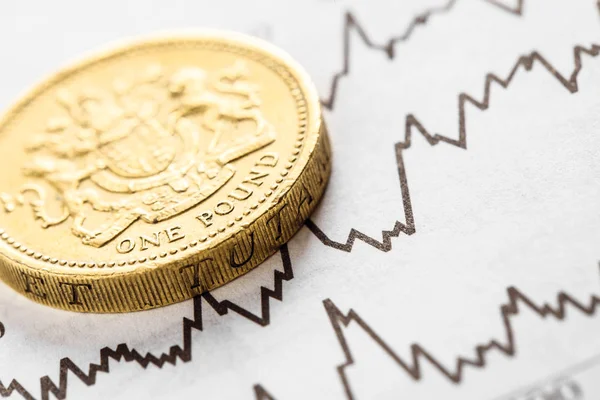 A moeda de uma libra no fundo gráfico — Fotografia de Stock