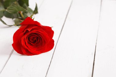 Ahşap masaya gül çiçek