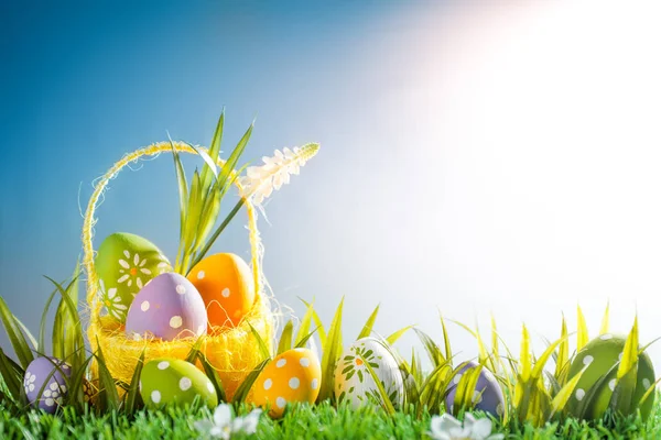 Påsklov med tulpan blommor och ägg i korgen — Stockfoto