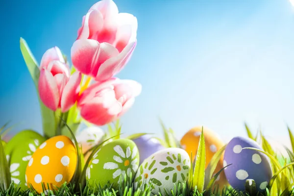 Paaseieren verstopt in het gras met tulpen — Stockfoto