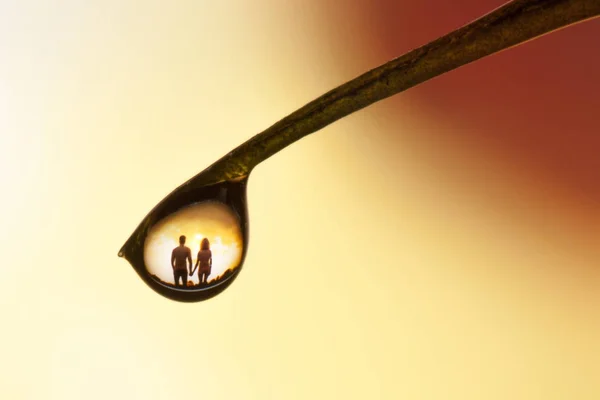 Couple in love reflected in a drop of dew on grass — Stock Photo, Image