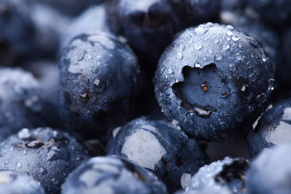 Molhado fresco Blueberry fundo — Fotografia de Stock