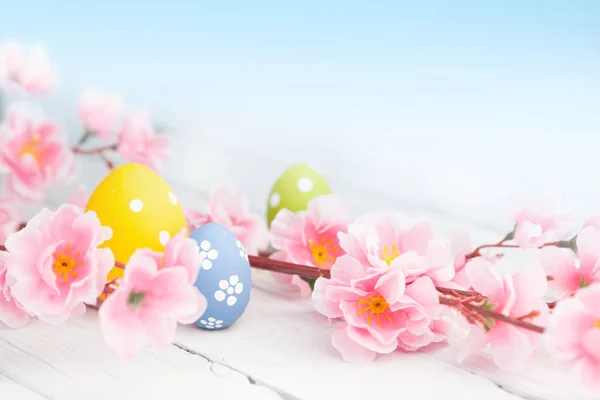 Bunte Ostereier und Blumen — Stockfoto