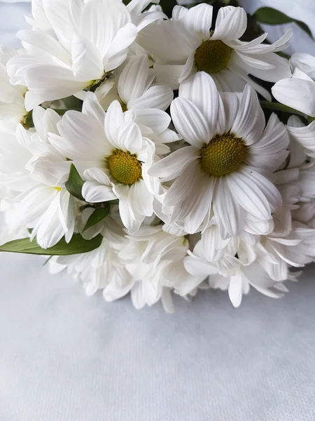 Ramo de flores de crisantemo blanco — Foto de Stock