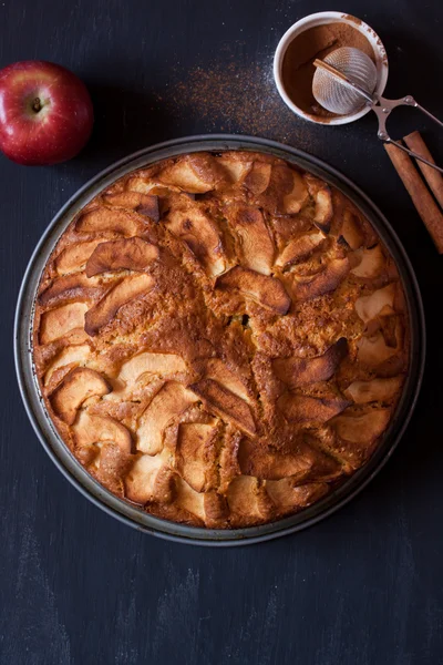 Torta di mele fatta in casa — Foto Stock