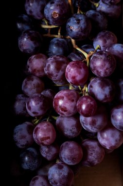 Koyu siyah üzüm