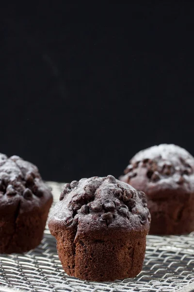 Домашний шоколадный кекс — стоковое фото
