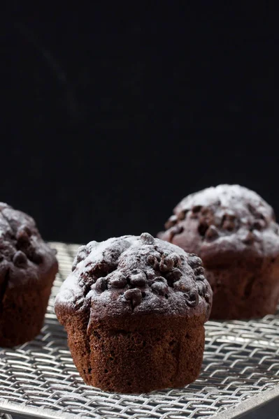 Hausgemachter Schokoladenmuffin — Stockfoto