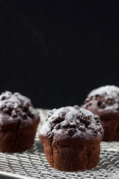 Muffin al cioccolato fatto in casa — Foto Stock
