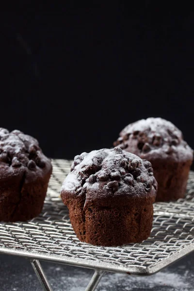 Muffin al cioccolato, versando zucchero a velo — Foto Stock