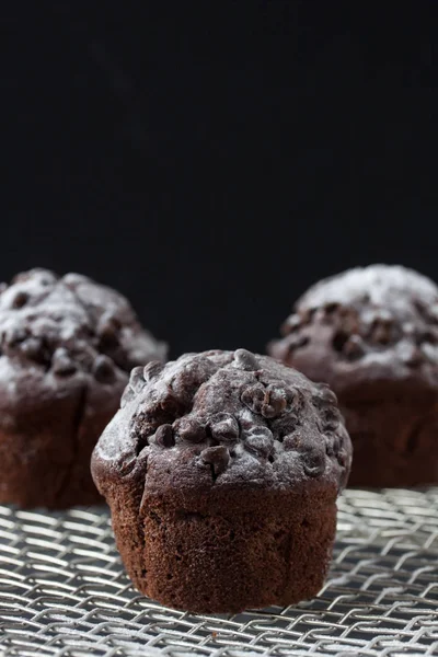 Chocolate muffin,  pouring powdered sugar — Stock Photo, Image