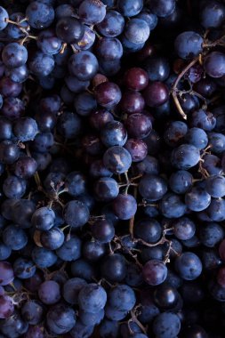 Organik siyah üzüm