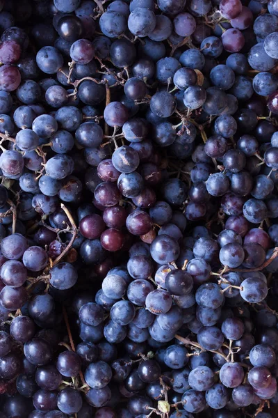 Organik siyah üzüm