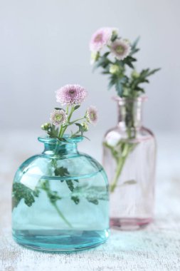 vazoda papatya çiçekler