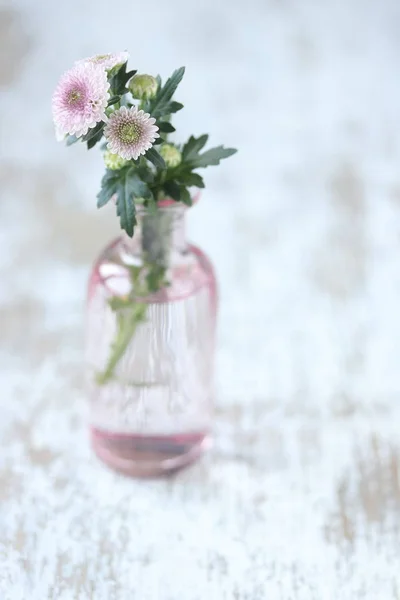 Krizantém Virág Váza — Stock Fotó