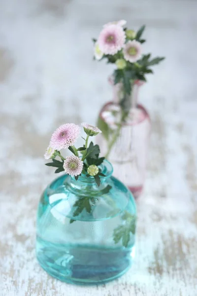 Chrysant Bloemen Vaas — Stockfoto