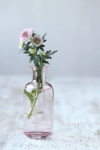 花瓶里的菊花花 — 图库照片