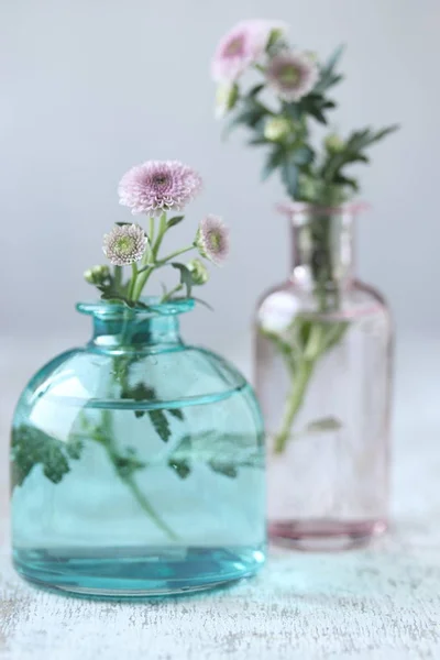 Chrysant Bloemen Vaas — Stockfoto