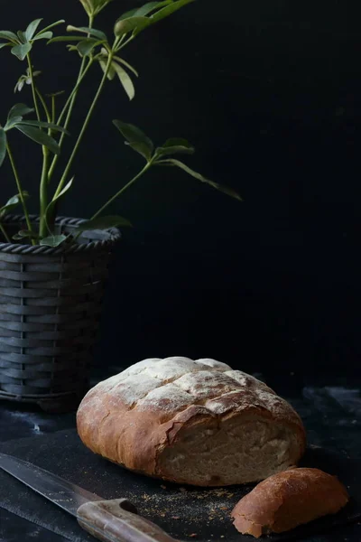 Hausgemachtes Brot Vollkornbrot — Stockfoto