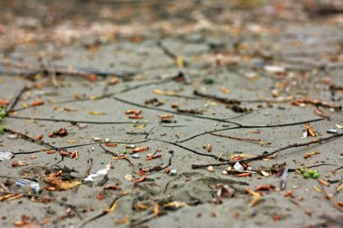 Bir sel den sonra kurak toprak ve çamur