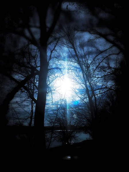 Clair de lune surréaliste au bord de la rivière Images De Stock Libres De Droits