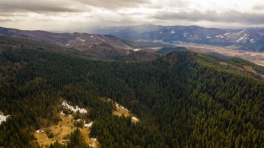 Dağların manzarası ve Ukrayna Karpatları ve ağaçlı ormanlar
