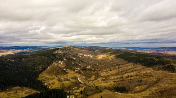 Vista Sulle Montagne Natura Dell Ucraina Carpazi Foreste Con Alberi — Foto Stock