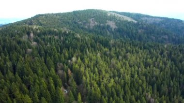 Dağların ve ormanların güzel manzaralı ormanların üzerinde güzel İHA uçuşları